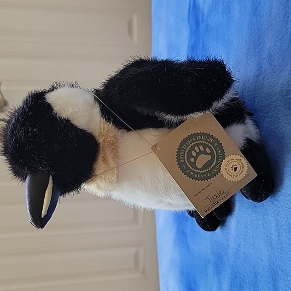 Boyds Bear Tuxie Waddlewalk Penquin - Picture 4 of 6
